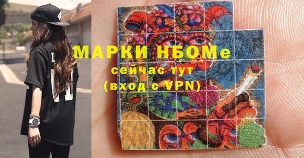spice Богородск