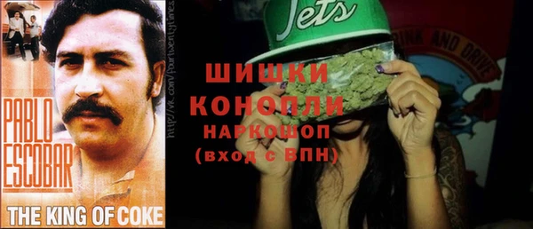 spice Богородск