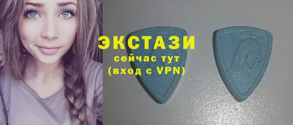 spice Богородск