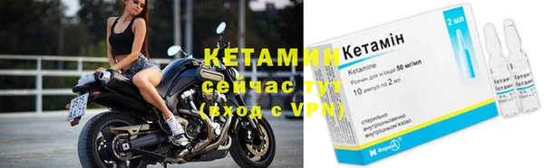дмт Богородицк