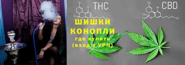 spice Богородск