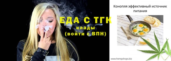 дмт Богородицк