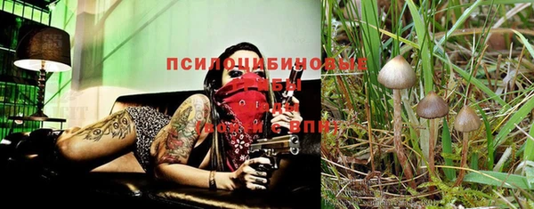 дмт Богородицк