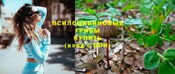 тгк Богданович