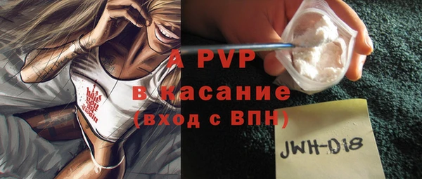 шишки Сатка