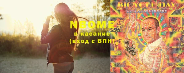 spice Богородск