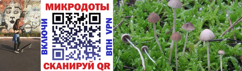 KRAKEN ссылка  Вязьма  Галлюциногенные грибы ЛСД 